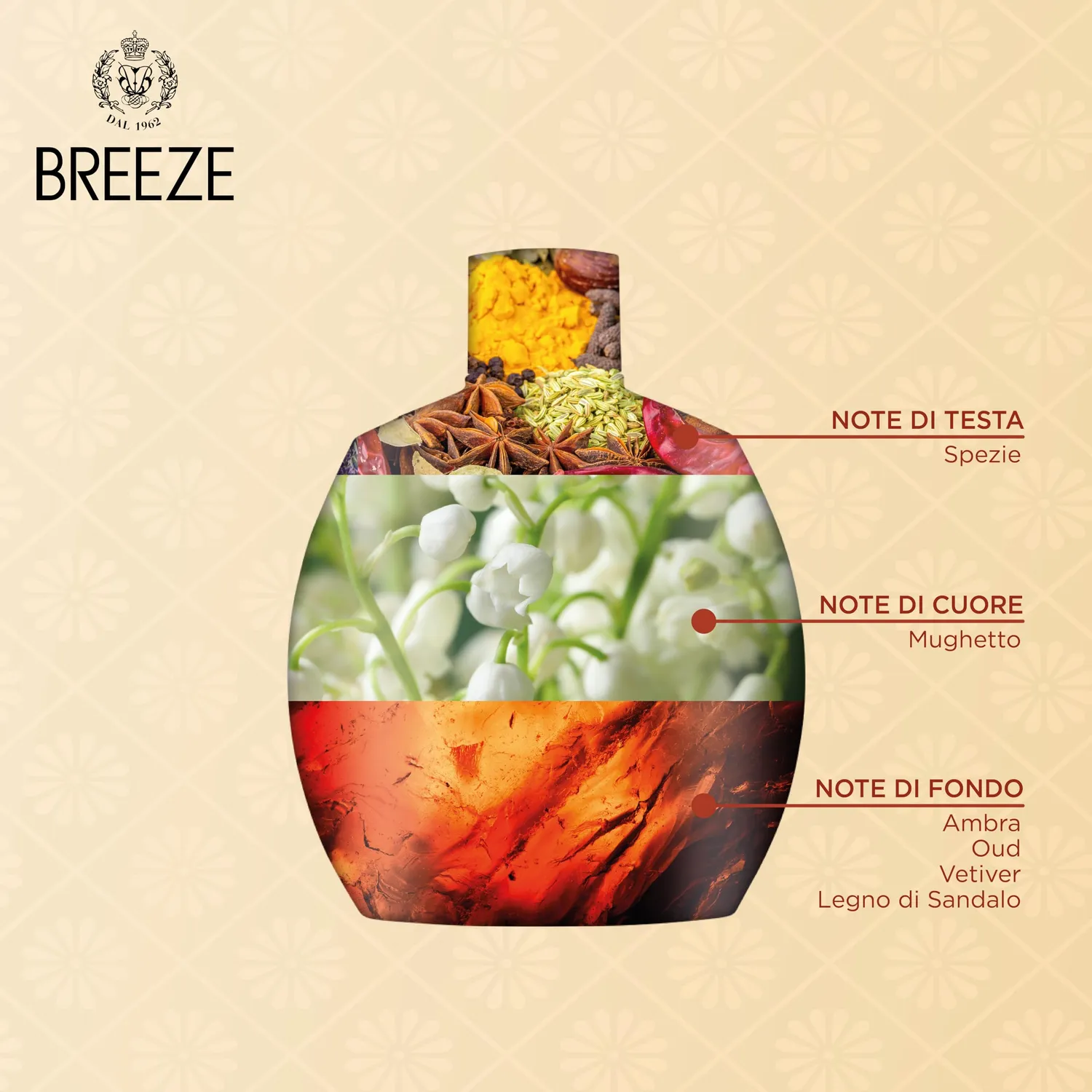 Breeze BlackOud deodorante squeeze 6x100 ml legnoso no gas