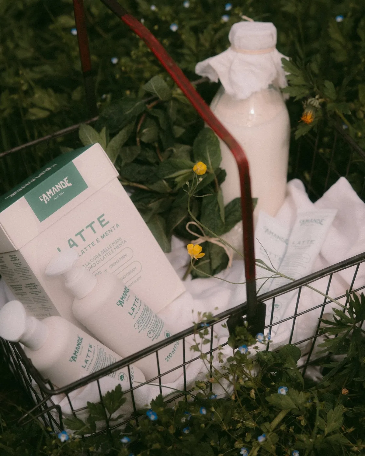L'Amande Kit Cura Mani Latte Menta Sapone Crema Viso Mani