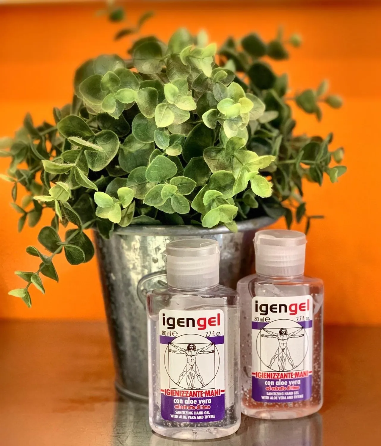 Rudy Profumi Igengel Igienizzante Mani 500 ml aloe