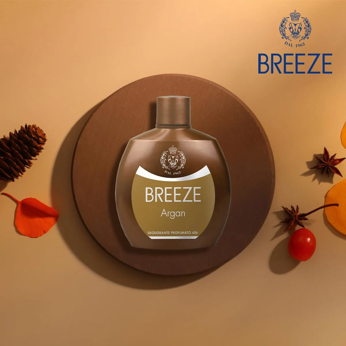 Breeze Deodorante Squeeze Argan 6x100 ml no gas